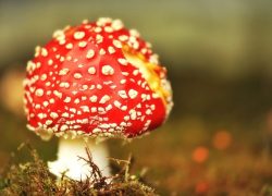 Czy wymagany jest serwis klimatyzacji?