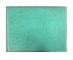 Allergy – filtr do oczyszczacza powietrza Wells AL315