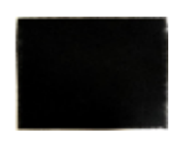 Pet filter – filtr do oczyszczacza powietrza Wells AL106