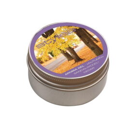 Żel zapachowy BIO Stylies Aroma – jesień