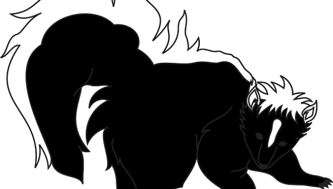 Pochłaniacz zapachów – jak poradzić sobie z nieprzyjemnym zapachem?