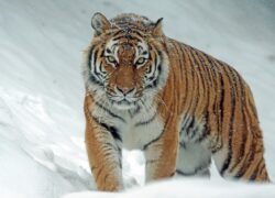 Czy zimą używać klimatyzacji?